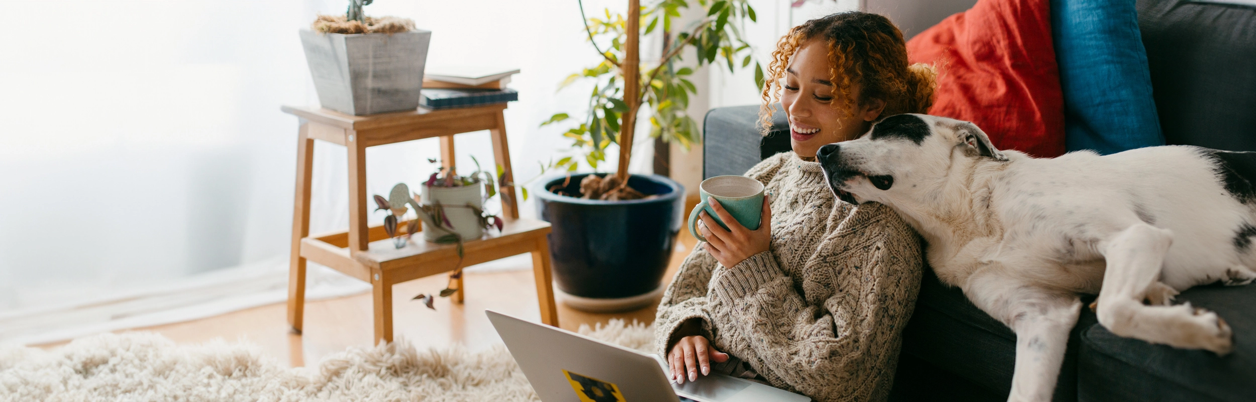 Portal de información Direct Your Energy
