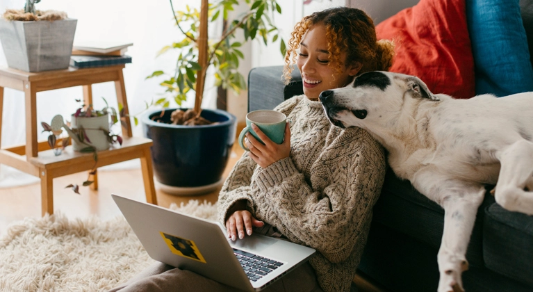 Portal de información Direct Your Energy
