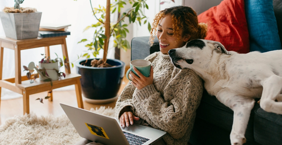 Portal de información Direct Your Energy
