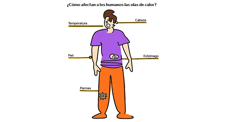 Illustration of a persons body parts