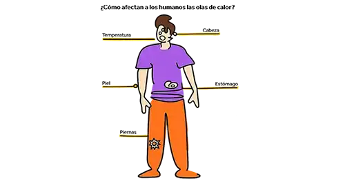 Illustration of a persons body parts