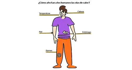 Illustration of a persons body parts