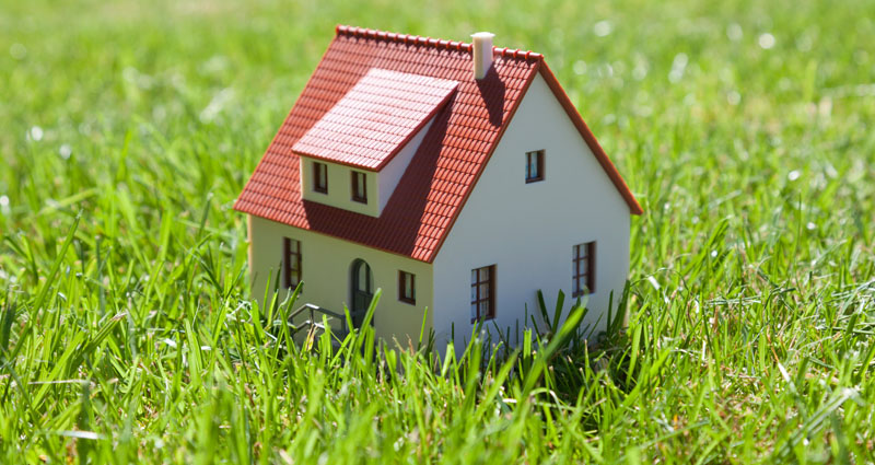 Model house in grass